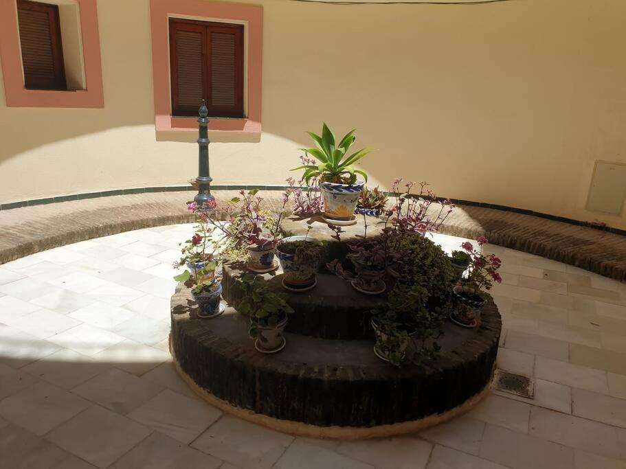 Espacioso Apartamento En Amor De Dios, Alameda Sevilla Exterior foto